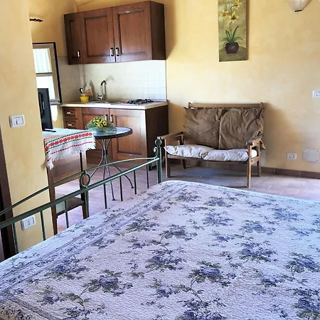 In With Pool & Holiday home Apecchio