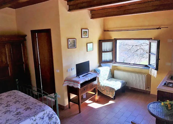 In With Pool & * Apecchio