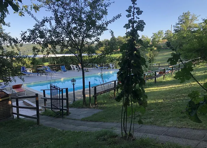 In With Pool & Apecchio